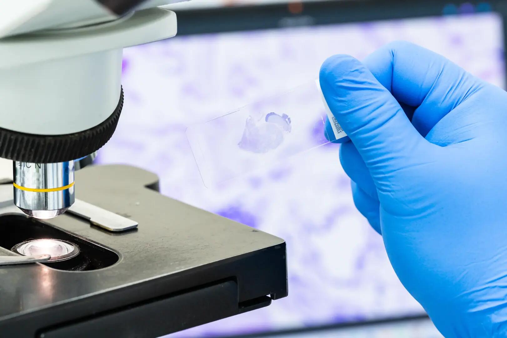 Pathology & Histology Services